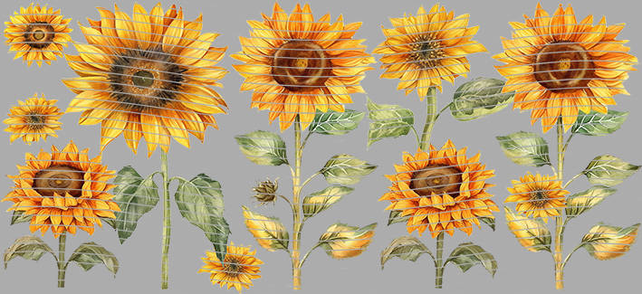 16oz Element-EN-1251